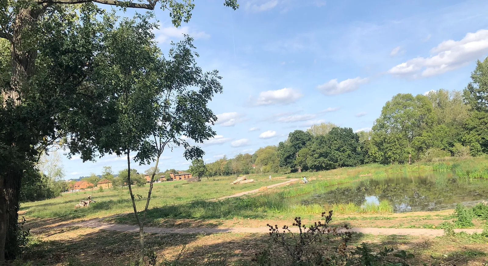 Perivale wetlands.jpeg